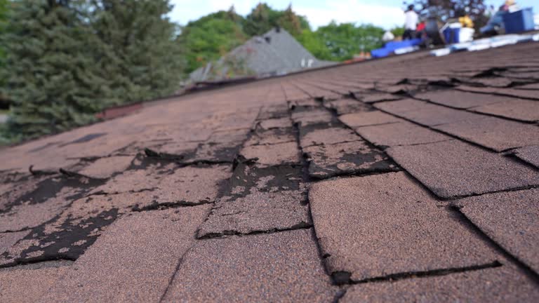 Best Green or Eco-Friendly Roofing Solutions  in Oxford, KS